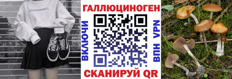 МЕГА ONION  Феодосия  Псилоцибиновые грибы Magic Shrooms 