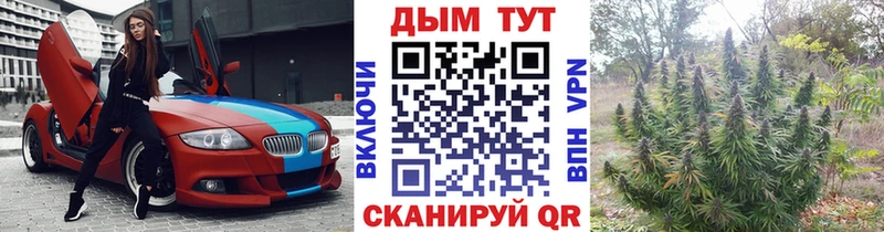 Конопля индика  Феодосия 